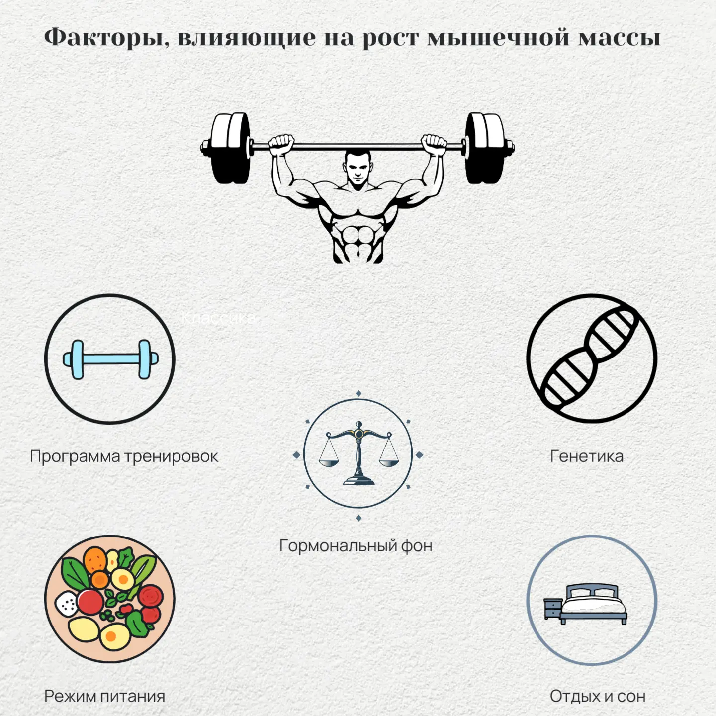 Факторы, влияющие на рост мышечной массы
