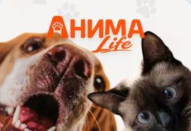 ANIMALife - Переводчик животных