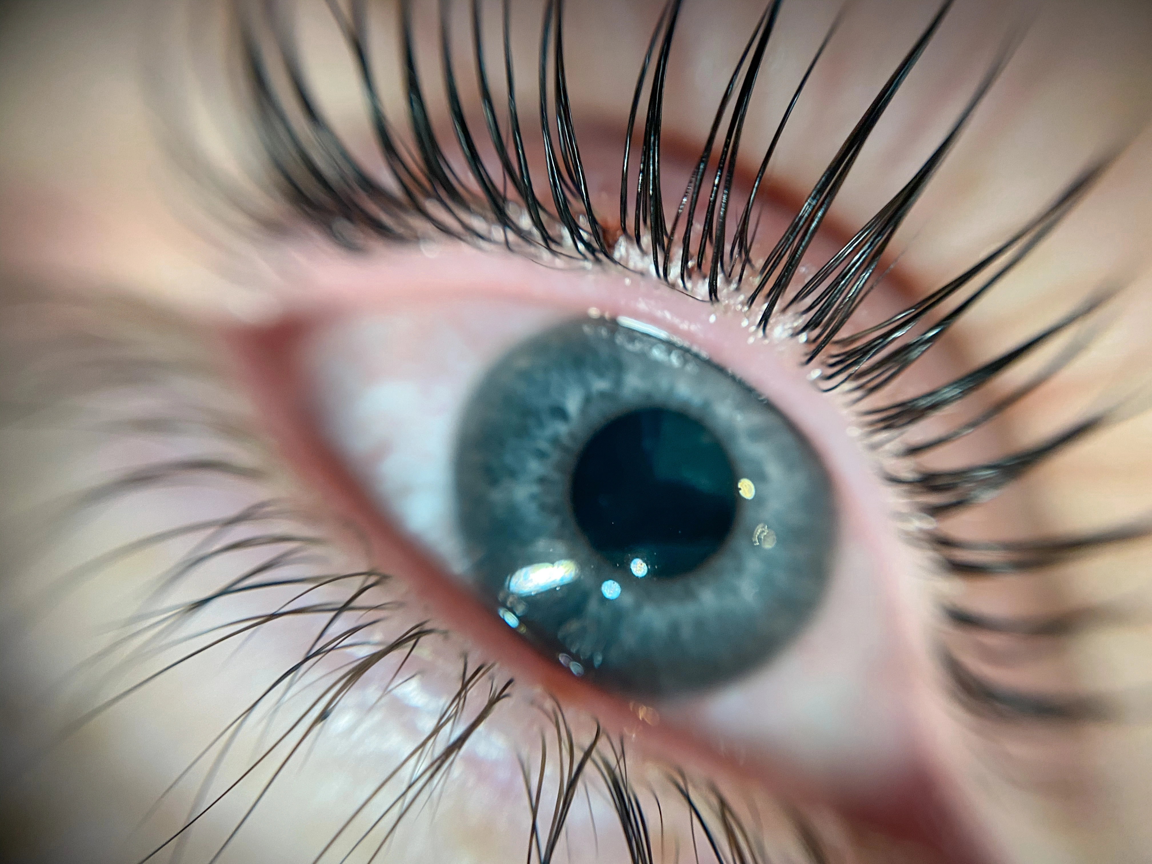 Ламинирование ресниц Москва Братиславская